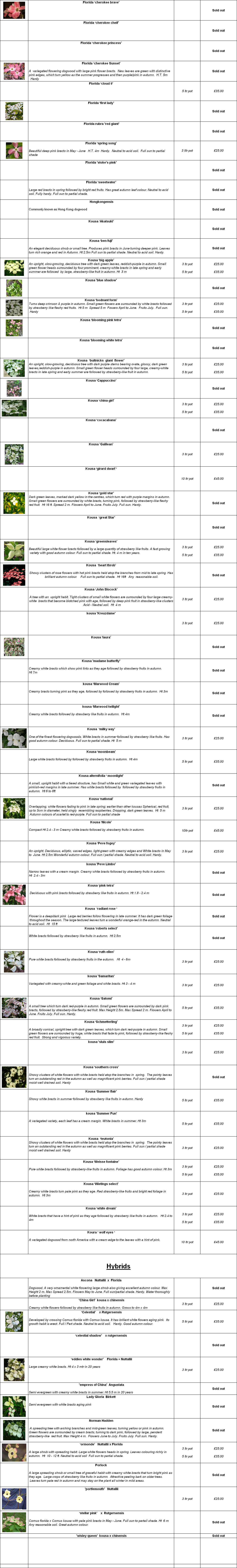 wp8ab8d1ee.png